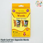 Opposite Words Flash Card set with pictures of big-small and hot-cold for kids learning