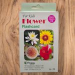 Flowers Flash Card set with colorful pictures of roses, sunflowers, and more for kids learning