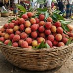 premium bombay lychee gojo mart bangladesh